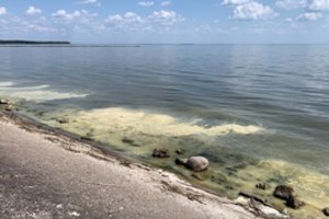 Geltonai nusidažęs vanduo sulaukė gyventojų nerimo: specialistai ramina