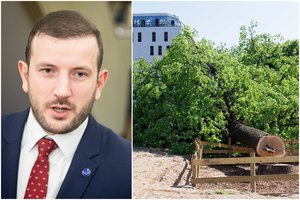 V. Sinkevičius rėžė atvirai: NT vystytojai pastaraisiais metais Vilniuje jautėsi ypač patogiai