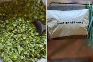 Kaip išsaugoti svogūnų laiškus žiemai: Renata dalijasi patirtimi ir patarimais