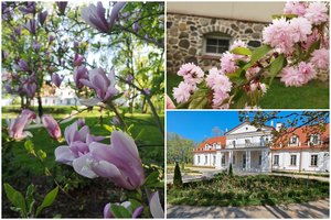 Ilzenbergo dvare – tulpių ir obelų žydėjimo metas: įspūdingų vaizdų žadama iki pat rudens