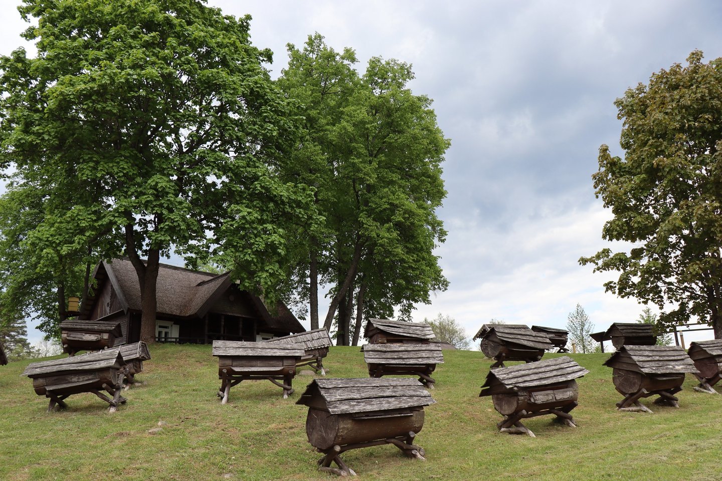 Stripeikių kaime nuo gegužės mėnesio iki vėlyvo rudens lankytojų laukia vienintelis toks Lietuvoje Bitininkystės muziejus.<br>L.Kovalevskienės nuotr.