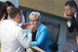 Konservatoriai registravo projektą dėl pirmalaikių Seimo rinkimų: siūlo prie balsadėžių rinktis rugsėjo 10 d.