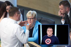 S. Malinauskas išanalizavo I. Šimonytės ir G. Landsbergio laišką konservatoriams: tonas keičiasi