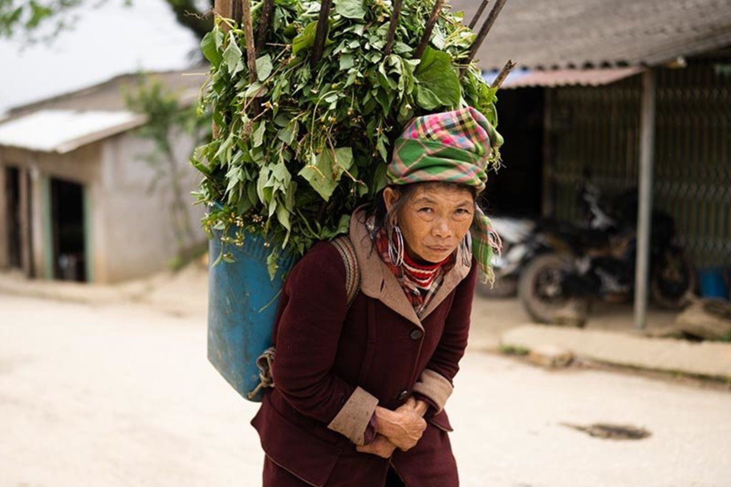 Keliautoją Vietname labiausiai sužavėjo gamtos ir kultūrų įvairovė.<br>A.Nikogosian nuotr. 