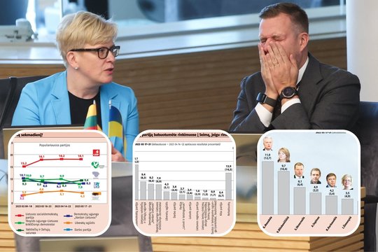 Kaip matyti naujausiuose reitinguose, šlovės spinduliuose kaitinasi opozicijos atstovai, o netinkamą strategiją politinės krizės metu pasirinkusiems konservatoriams saldžios dienos valdžioje beliks tik gražus prisiminimas.