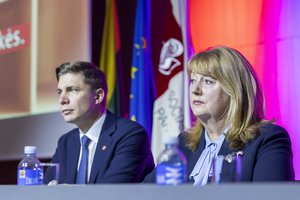 Pasitikėjimą M. Sinkevičiumi išreiškusi V. Blinkevičiūtė: socialdemokratai palaikys siūlymą dėl pirmalaikių rinkimų