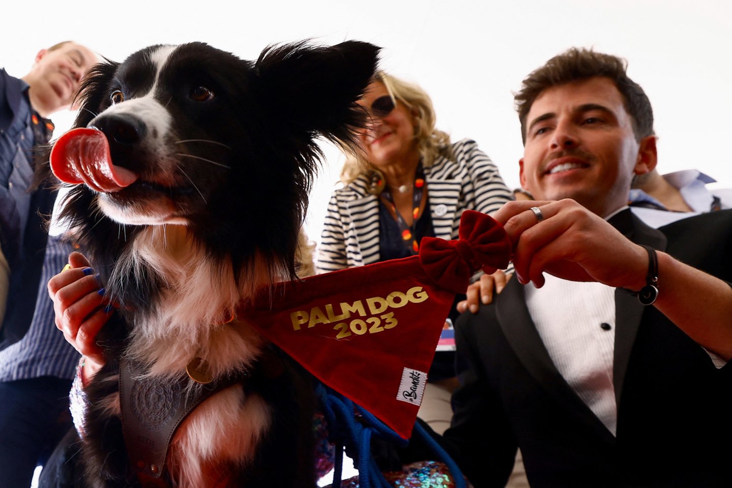 Apdovanotame filme vaidinęs borderkolis pelnė apdovanojimą už geriausią šuns vaidmenį.<br>Scanpix/Reuters nuotr.