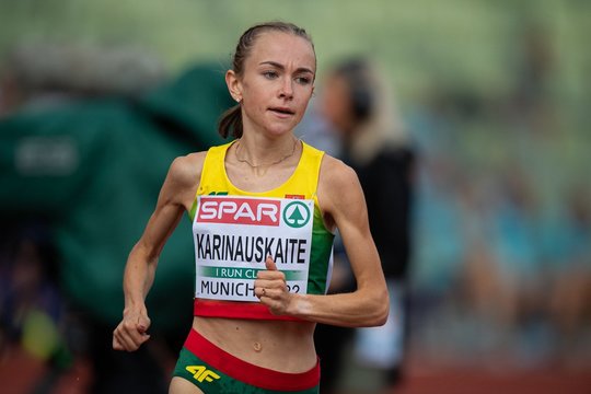G.Karinauskaitė.