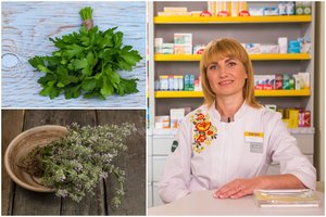 Vaistažolės, kurias vaistininkė pataria auginti savo darže: gerina kraujotaką ir stiprina sveikatą