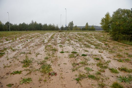2023 metų vasarą Šiauliuose bus vykdomi žemės sklypų patikrinimai.