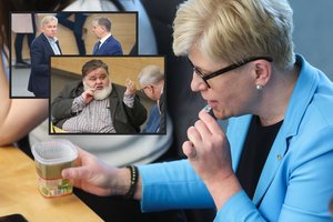 Ilgametis konservatorius A. Ažubalis pratrūko: jūs pasiklausykite, ką kalba rinkėjai