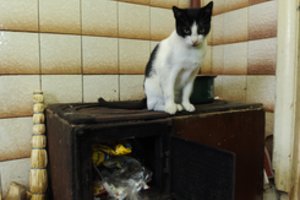 Šildytis anglimi ir durpėmis Vilnius draus baudomis: yra kur kas patogesnių alternatyvų