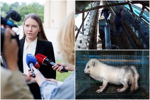 Slapti kadrai iš kailių fermų – gyvūnai talžomi, dusinami dujų kamerose: „Toks elgesys su gyvūnais yra sveiku protu nesuvokiamas“