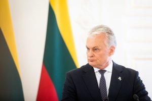 G. Nausėda: politinę krizę galima spręsti dviem būdais