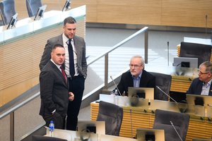 Buvęs Vytauto Landsbergio patarėjas: dabar matome politinį žaidimą