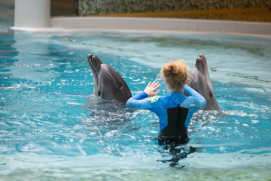 Specialiųjų poreikių turintiems vaikams bendravimas su delfinais nėra vien pramoga – ryšys su šiuo gyvūnu gali tapti gyvenimą keičiančia patirtimi.