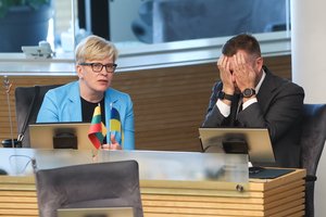 Įtampą konservatorių partijoje kyla: kritikos bei raginimų TS-LKD vadovybei pažėrė Palangos meras