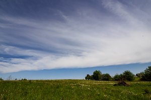 Linkstama leisti dabartinėmis sąlygomis statyti ūkininko sodybą jau pradėjusiems tvarkytis dokumentus