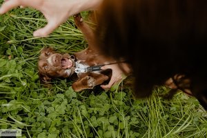 Iš prieglaudos paimtas Gru netruko susirasti darbą, o globėją įkvėpė pradėti verslą