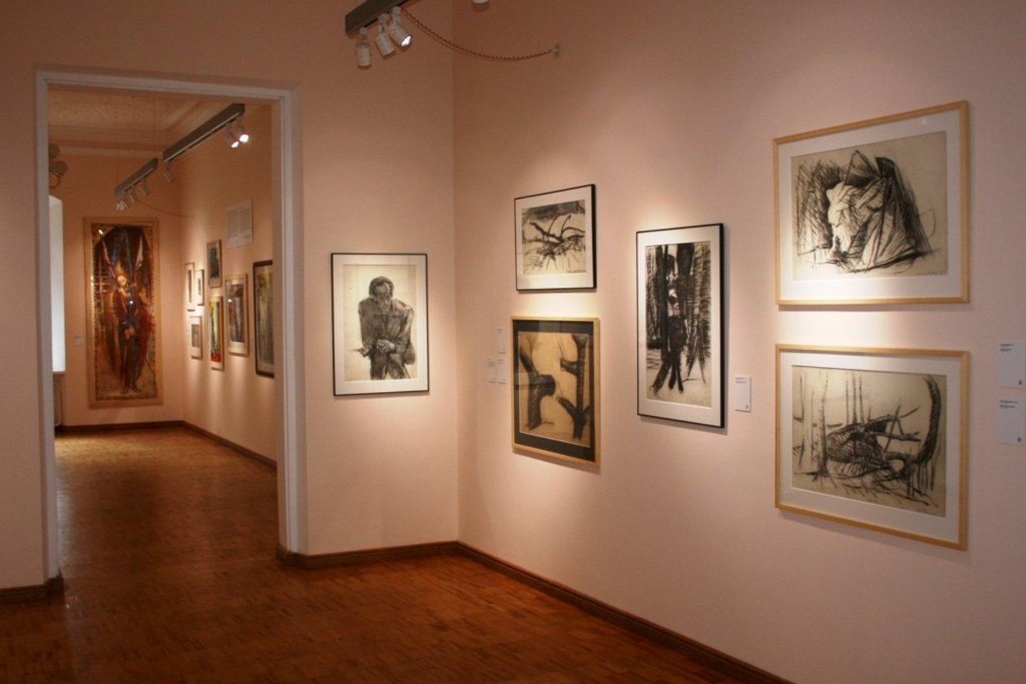 Dailininko, kolekcininko, meno kuratoriaus Vaidoto Žuko darbai eksponuojami Alantos dvaro muziejuje-galerijoje – septyniose dvaro salėse.
