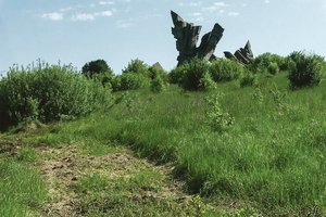 Nevilties apimti kauniečiai skambina pavojaus varpais: šioje vietoje jau kyla pavojus