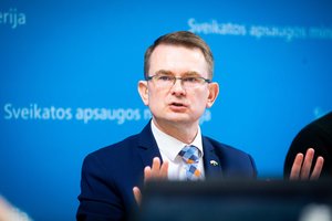 A. Dulkys: Vyriausybę ištikusi politinė krizė valstybei išeis į naudą