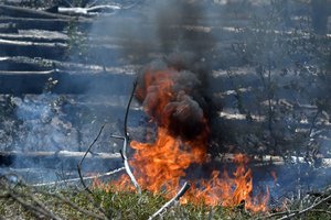 Vokietijoje dega buvęs karinis poligonas