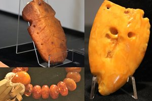 Linkėjimai iš gintaro Kalifornijos: įdomioji baltiškojo gintaro gavybos istorija Kuršių nerijoje