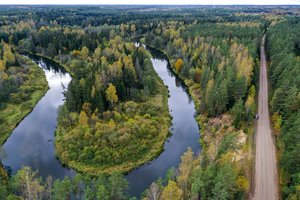 „Sengirės fondas“ 2022 metais globojamų miškų plotą praplėtė iki 57,08 hektarų