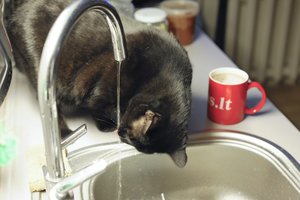 Kitą savaitę dalis panevėžiečių liks be karšto vandens