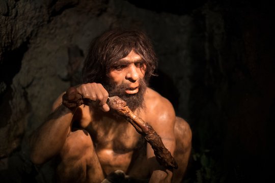  Visuotinai sutariama, kad Homo sapiens kilęs iš Afrikos, tačiau išlieka daug neaiškumų ir konkuruojančių teorijų apie tai, kur, kada ir kaip tai nutiko.