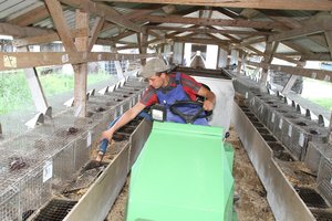 Sako, kad ateities tokiam verslui Lietuvoje nėra – nori, kad pas mus šią šaką apskritai uždraustų