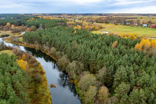 Lietuvos miškų ūkio rūmų prezidentas Remigijus Bakys tvirtina, kad planuojami pokyčiai galėtų lemti problemas miško ir žemės ūkio sektoriams, tačiau nėra padaryta poveikio analizė, kuri tai galėtų įvertinti.