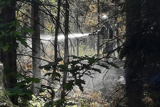  Gaisras nuniokojo apie vieną hektarą miško.