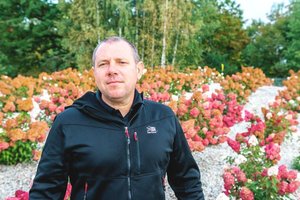 Hortenzijų auginimo verslas sulaukė FNTT dėmesio – vienas savininkų kaltę jau pripažino, gailisi