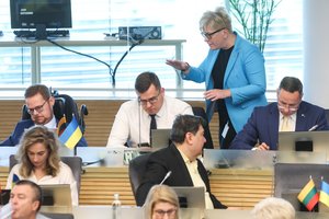 Smūgis konservatoriams: nuo jų plano nusisuko ir savi, ir opozicija, bet atsirado netikėti rėmėjai