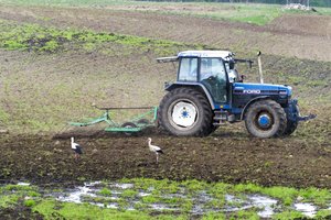 Kokias naujoves reikia žinoti siekiantiems paramos agrarinei aplinkosaugai ir klimatui