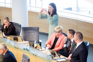 Seimas pasileisti nenori: pirmalaikių rinkimų nebus