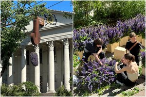 Vilniuje pristatyta unikali instaliacija iš lubinų: siunčia svarbią žinutę visuomenei