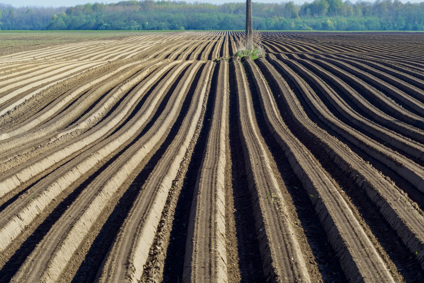 Ekologiškai ūkininkaujantys tęstinius įsipareigojimus vykdys Lietuvos kaimo plėtros 2014–2020 metų programos (KPP) priemonės „Ekologinis ūkininkavimas“ veiklose: „Parama perėjimui prie ekologinio ūkininkavimo“ ir „Parama ekologiniam ūkininkavimui“.<br>V.Ščiavinsko nuotr.
