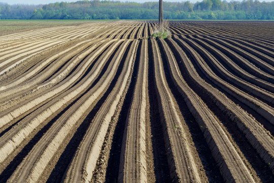 Ekologiškai ūkininkaujantys tęstinius įsipareigojimus vykdys Lietuvos kaimo plėtros 2014–2020 metų programos (KPP) priemonės „Ekologinis ūkininkavimas“ veiklose: „Parama perėjimui prie ekologinio ūkininkavimo“ ir „Parama ekologiniam ūkininkavimui“.