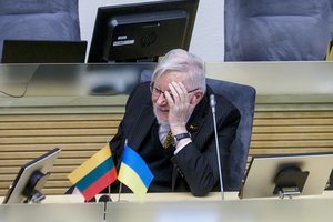 V. Landsbergis įvertino Seimo balsavimą dėl pirmalaikių rinkimų: dar pamatysime