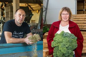 Ūkininkai nerimauja dėl sausros ir šalnų: „Jau dabar matosi, kaip „augalai bėga iš lauko“