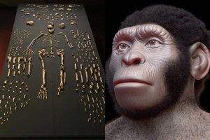 Pirmieji savo artimuosius pradėjo laidoti visai ne šiuolaikiniai žmonės? Nauji radiniai kursto mokslininkų ginčus