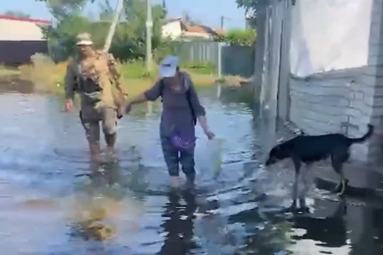 Potvynis Ukrainoje: augintiniai gelbėjami, kad nepaskęstų, po to kai Rusija susprogdino Kachovkos hidroelektrinės užtvanką. <br> Cover Images/Scanpix nuotr.
