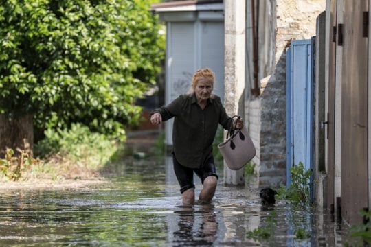 Potvynis Ukrainoje: augintiniai gelbėjami, kad nepaskęstų, po to kai Rusija susprogdino Kachovkos hidroelektrinės užtvanką. <br> AP/Scanpix nuotr.