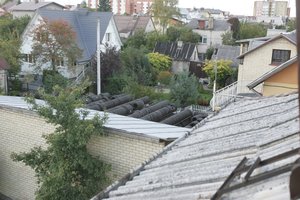 Vilniuje vyksta medžių „surašymas“ ne tik valstybinėje žemėje, bet ir privačiuose sklypuose: ką būtina žinoti