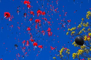 Šie pamėgti šventiniai atributai žalingi ne tik gyvūnams: mikroplastikas galiausiai pasiekia ir žmonių organizmus