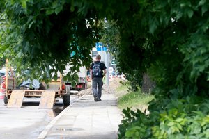 Aplinkos ministerija palengvino procedūrą: dabar bus visiškai aišku, kurie medžiai privalo būti saugomi