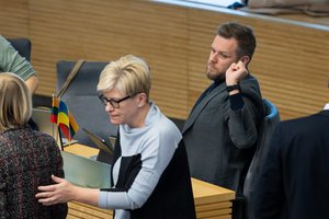 Šimonytė's unexpected statement – in the eyes of experts: 'This is a continuing political disaster'